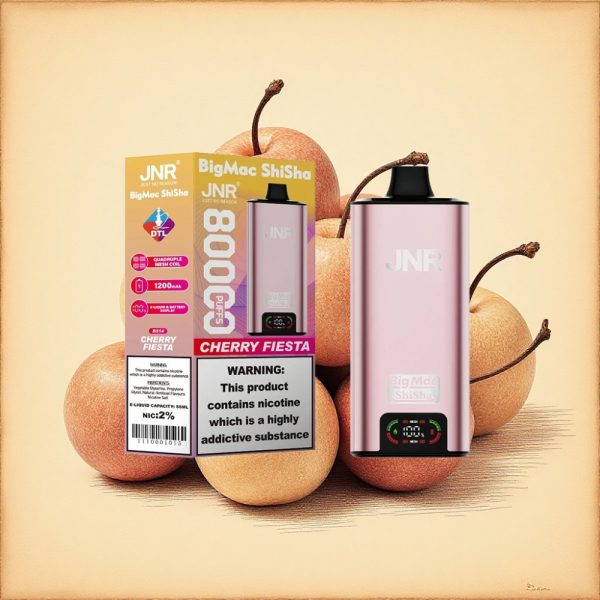JNR Big Mac Shisha 80000